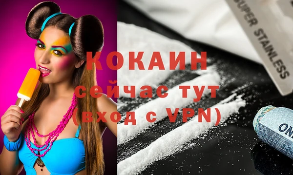 стаф Волосово
