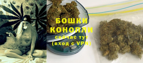 стаф Волосово
