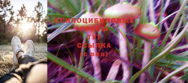 стаф Волосово